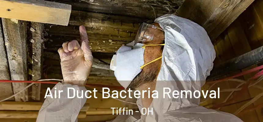  Air Duct Bacteria Removal Tiffin - OH