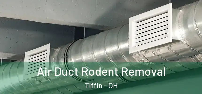  Air Duct Rodent Removal Tiffin - OH