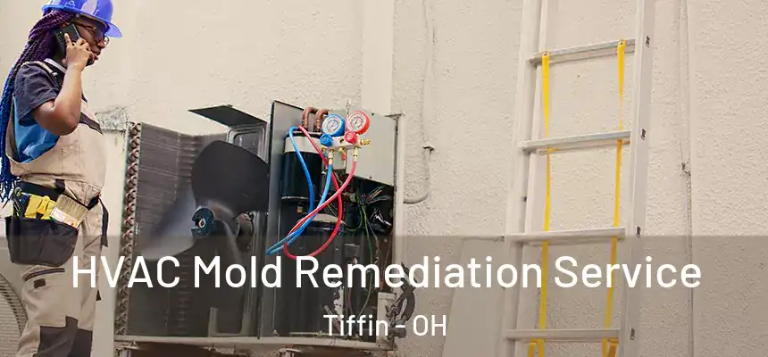  HVAC Mold Remediation Service Tiffin - OH