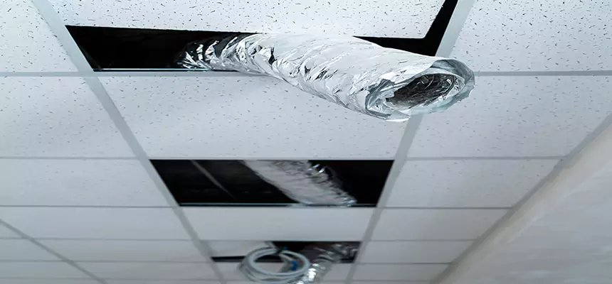 Affordable HVAC Sanitizing After Pest Removal in Tiffin