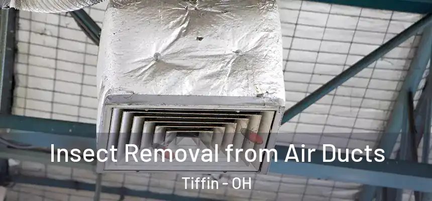  Insect Removal from Air Ducts Tiffin - OH