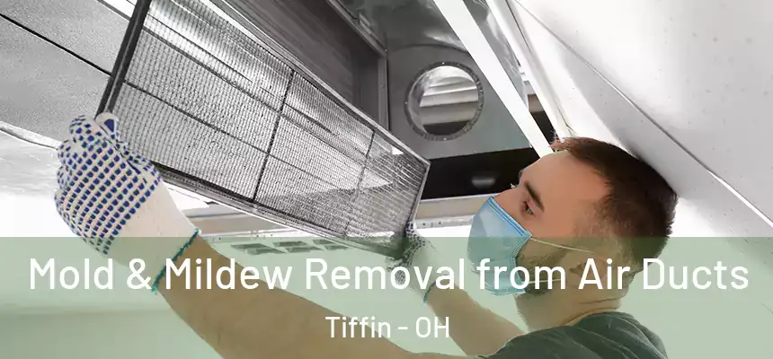  Mold & Mildew Removal from Air Ducts Tiffin - OH