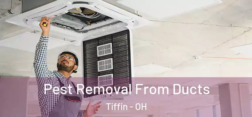  Pest Removal From Ducts Tiffin - OH