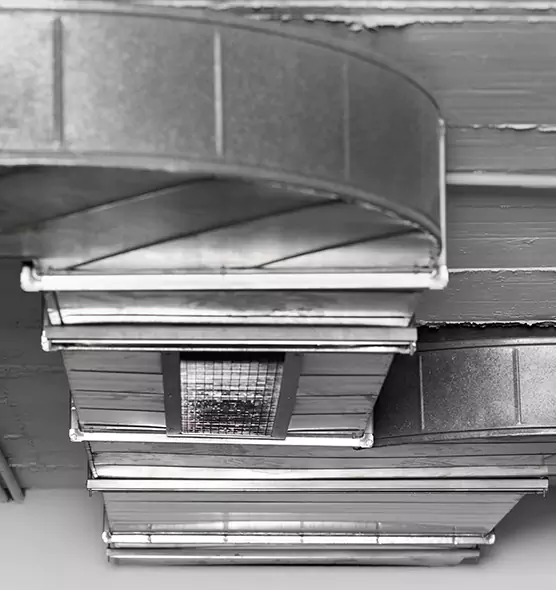 Professional Air Duct Pet Hair Removal in Tiffin, OH