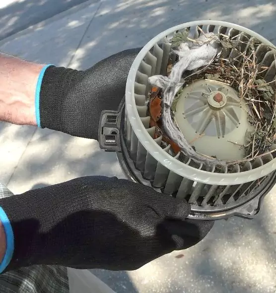 About Air Duct Rat Removal in Tiffin, OH